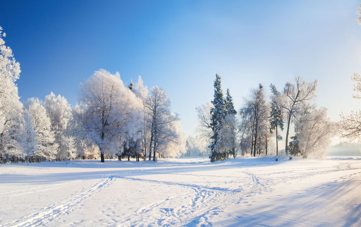 Panorama der schönen Winterlandschaft