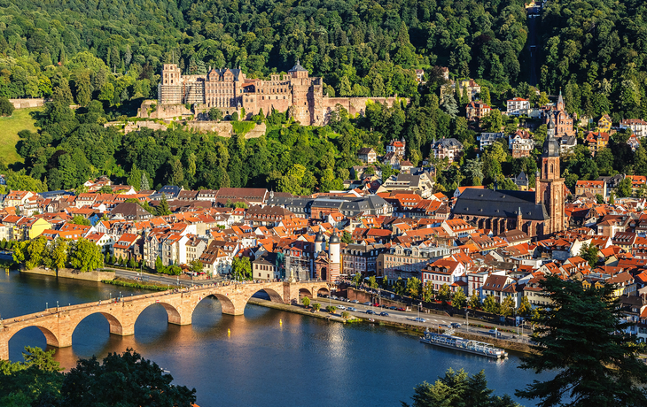 Blick auf Heidelberg