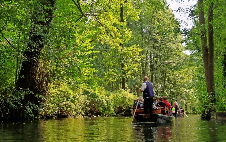 Spreewald