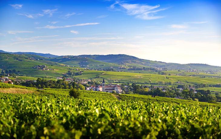 Weinbaugebiet Beaujolais in Frankreich