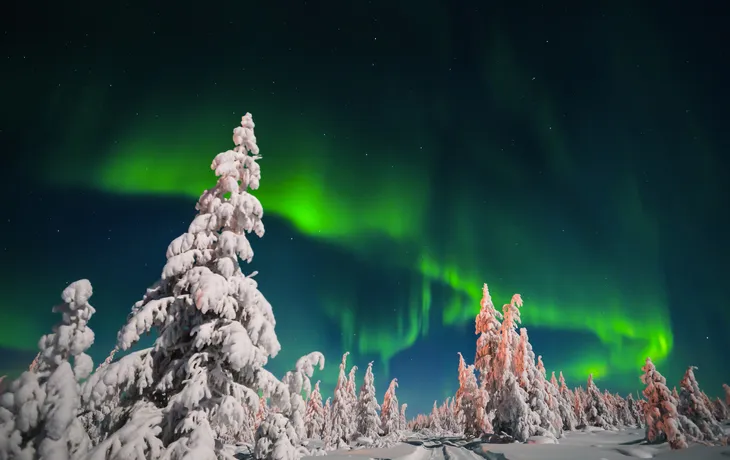 Polarlicht über der Taiga