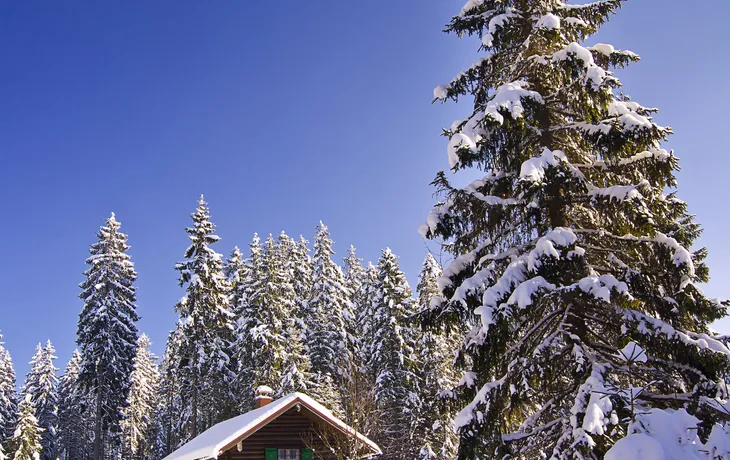 verschneite Holzhütte im Bayerischen Wald