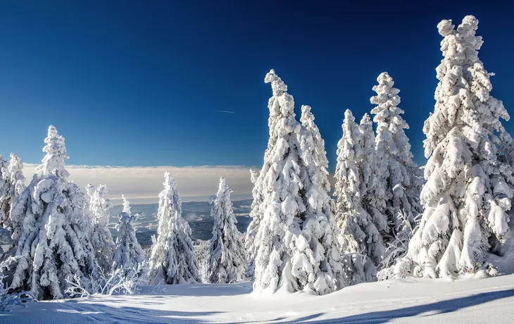 Winterlandschaft am Grossen Arber im Bayerischen Wald