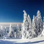 Winterlandschaft am Grossen Arber im Bayerischen Wald