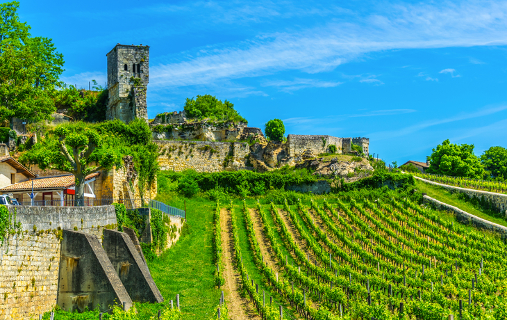 Weinberge bei Saint Emilion in Frankreich