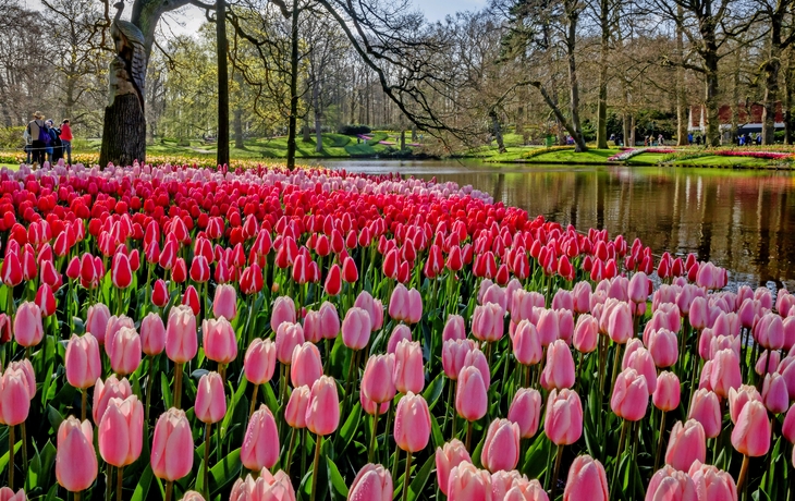 Keukenhof