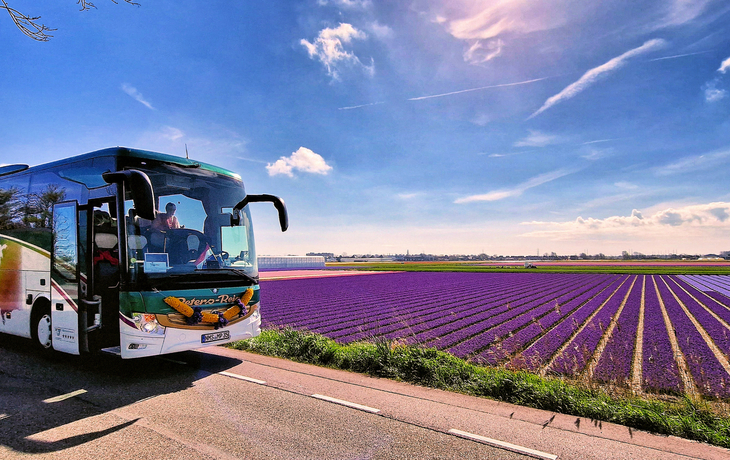 Die Peters-Reisefamilie unterwegs in Holland