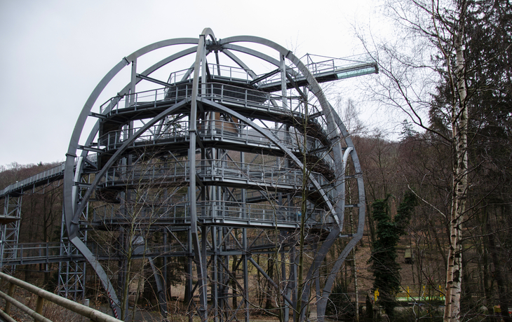 Baumwipfelpfad Harz in Bad Harzburg