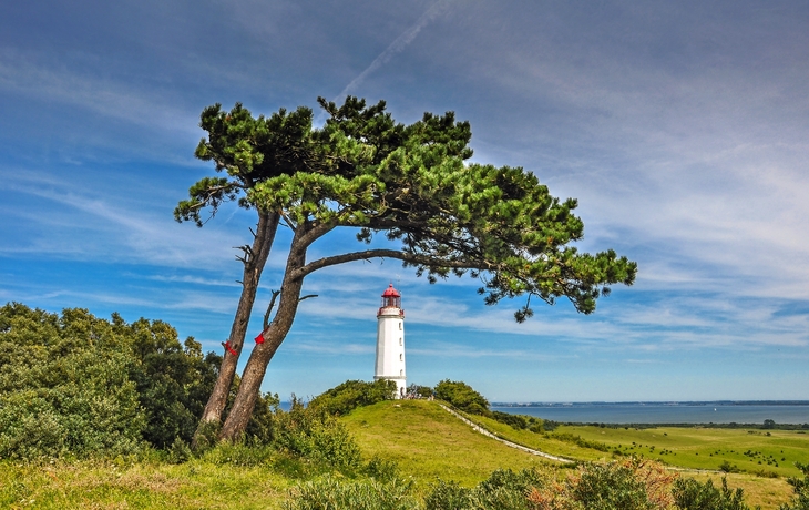 Insel Hiddensee