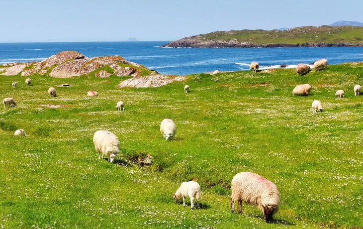 Ring of Kerry