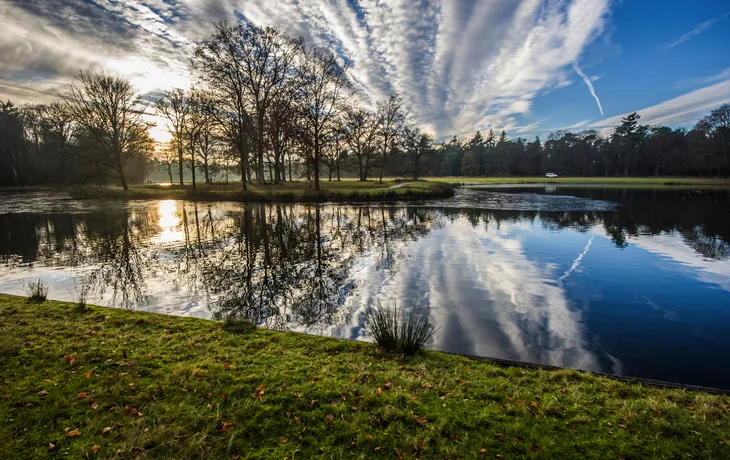 Nationalpark De Hoge Veluwe in den Niederlanden