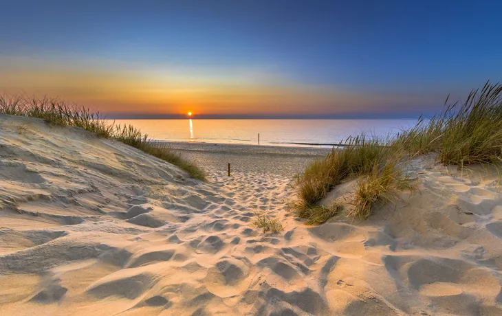 Dünenlandschaft in der Provinz Zeeland