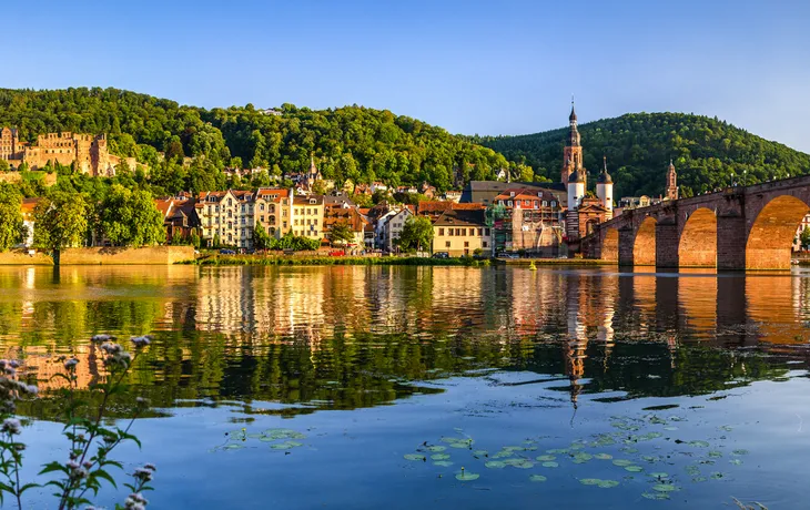 Heidelberg Panorama mit Schloss und Alter Brücke