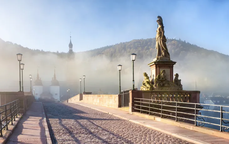 Karl-Theodor-Brücke in Heidelberg