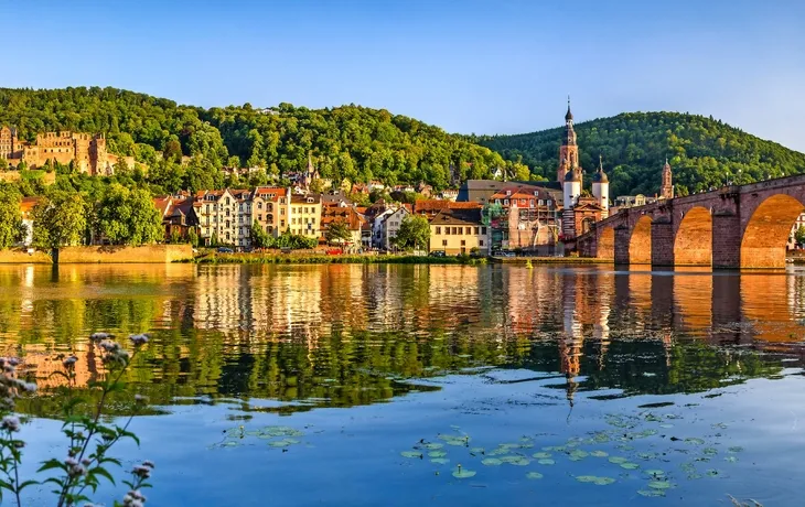 Blick auf Heidelberg