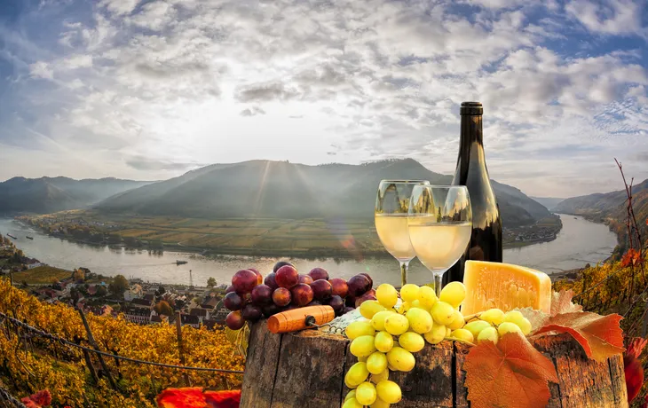 Wachau: das berühmteste Weinbaugebiet Österreichs