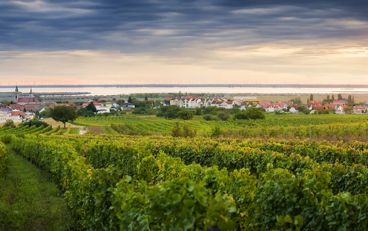 Rust im Weingebiet Burgenland