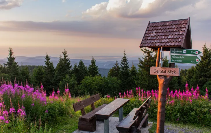 Sonnenuntergang auf dem Schneekopf im Thüringer Wald