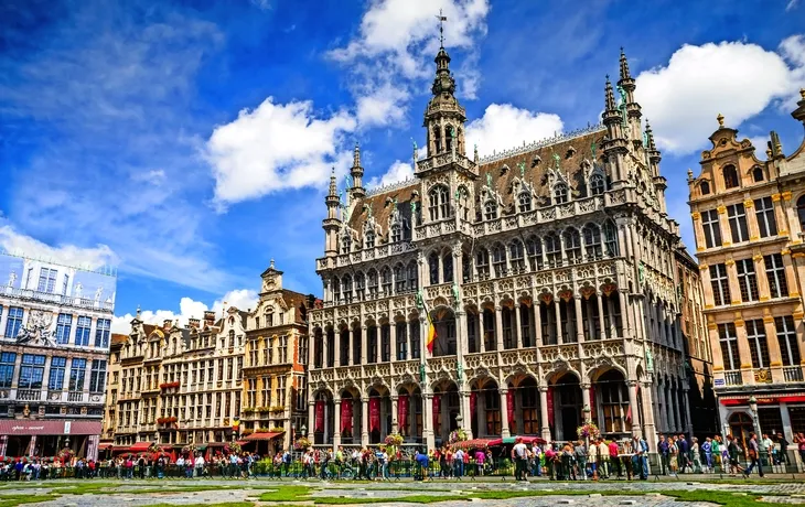 Blumenteppich auf dem Grote Markt in Brüssel